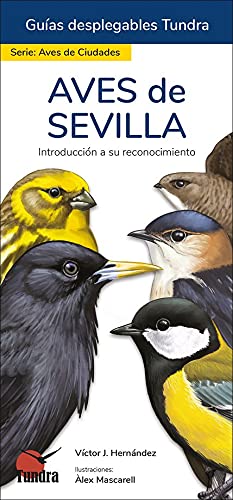 Libro: Aves De Sevilla Guias Desplegables Tundra