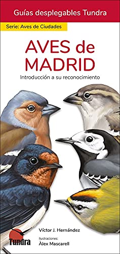 Libro: AVES DE MADRID - GUIAS DESPLEGABLES TUNDRA