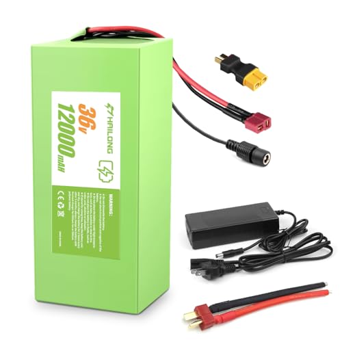 Batería-de-litio-recargable-RANSYRI-de-36-V-y-12-Ah-con-sistema-de-adaptador-de-corriente-inteligente-de-42-V-y-2-A-(compatible-con-dispositivos-de-200-W-a-750-W)