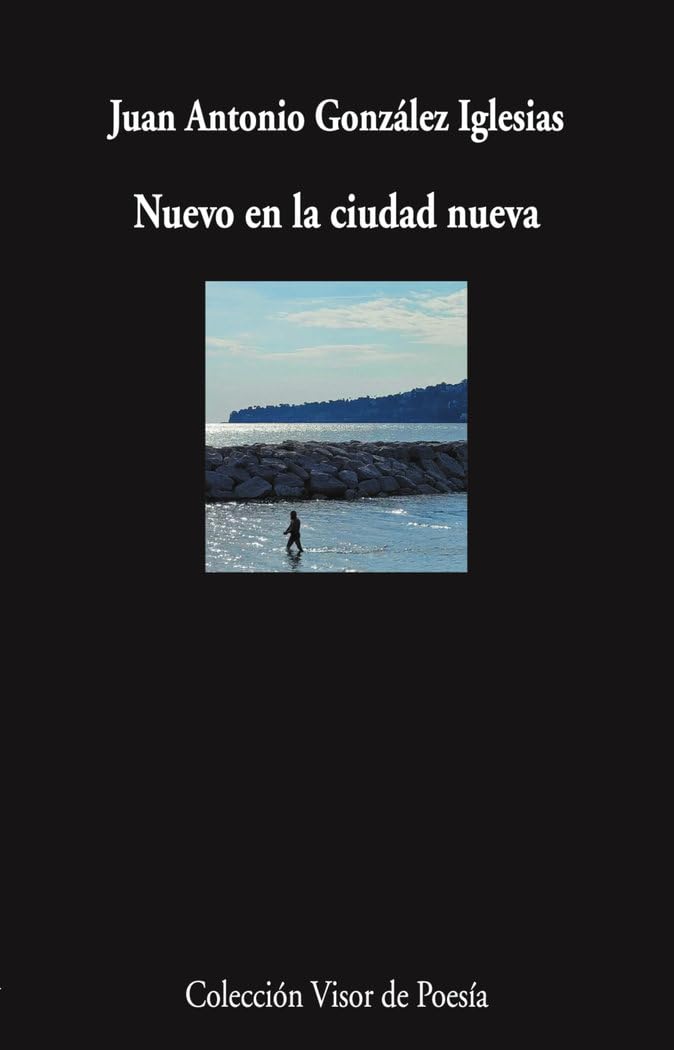 Libro: Nuevo en la ciudad nueva: 1241 (Visor de Poesía)