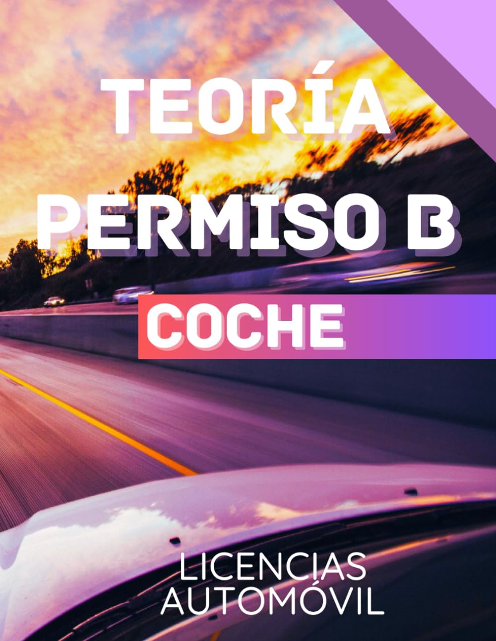 Libro: APRENDE PERMISO B COCHE. MANUAL DE APRENDIZAJE CARNÉ AUTOMÓVIL: TEORÍA PARA APROBAR TU EXAMEN DE CONDUCIR (PERMISOS DE CONDUCIR) (Spanish Edition)