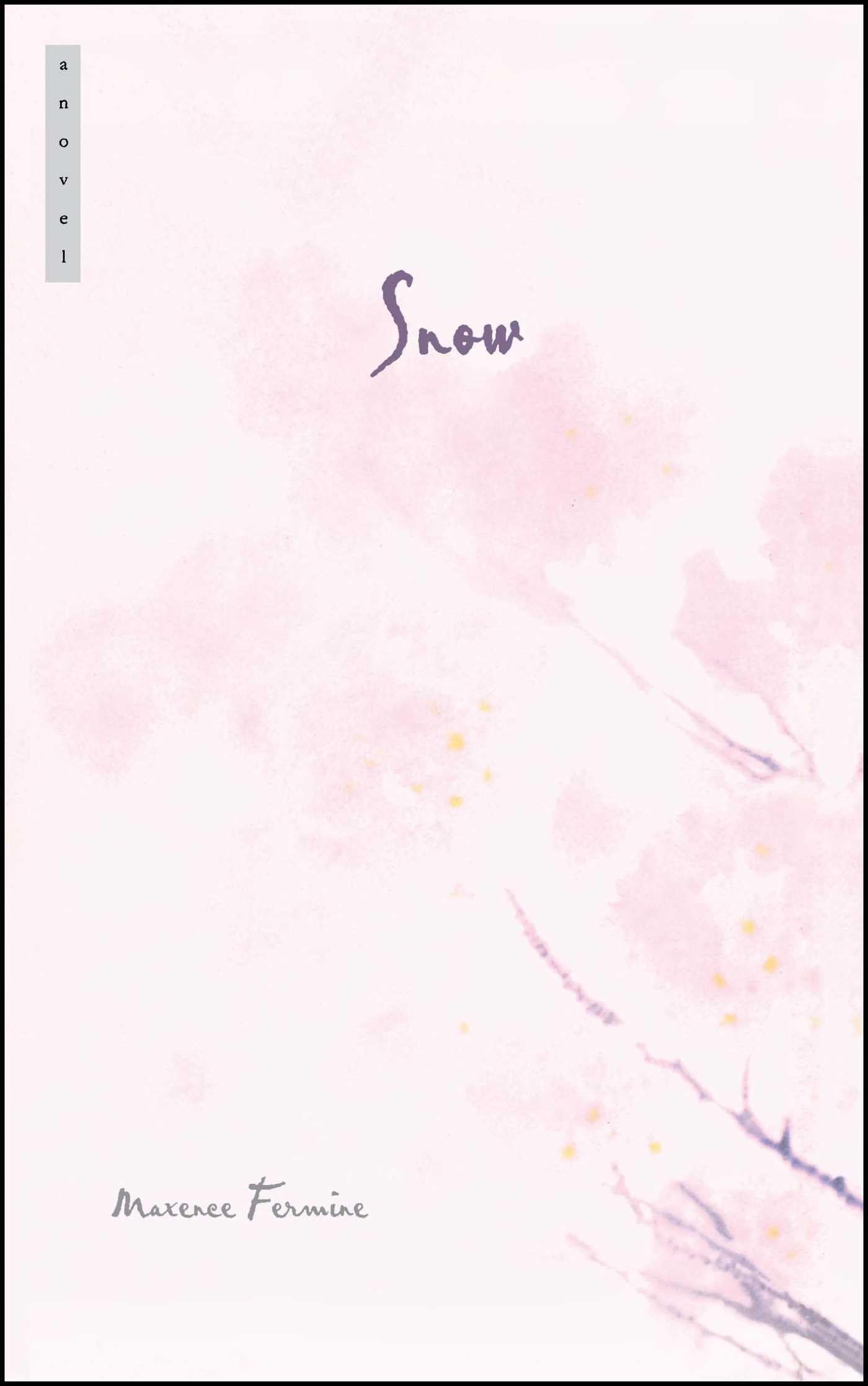 Libro: Snow: A Novel