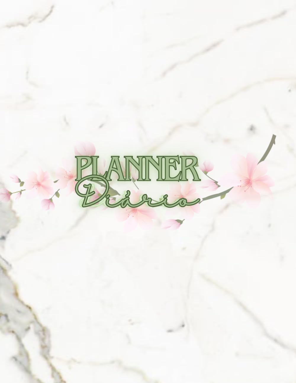 Libro: Planner Diário: Planeamento diário • Organização financeira • Espaço para notas e apontamentos (Portuguese Edition)