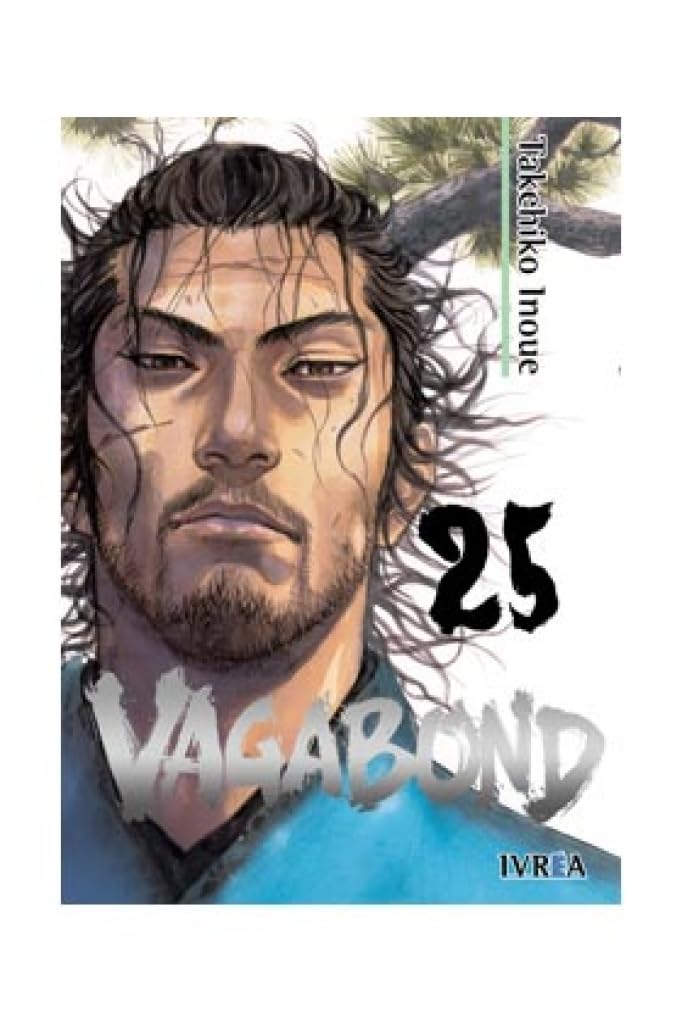 Vagabond 25 (comic)