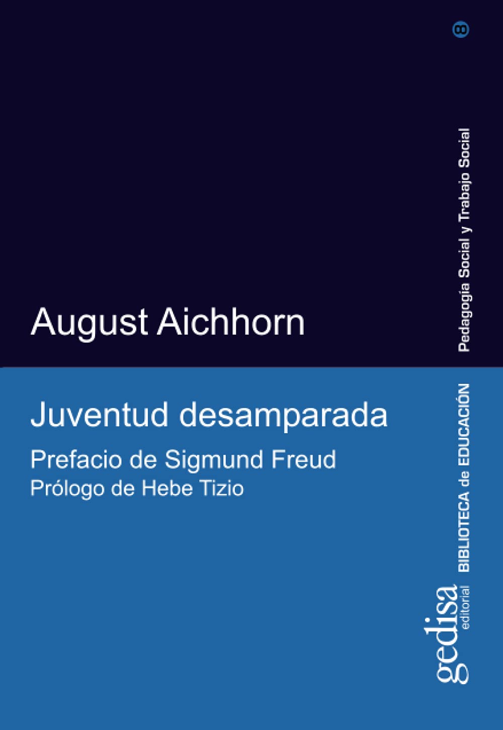 Libro: Juventud desamparada (Spanish Edition)
