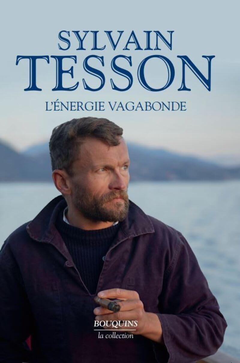 Libro: L'Energie vagabonde
