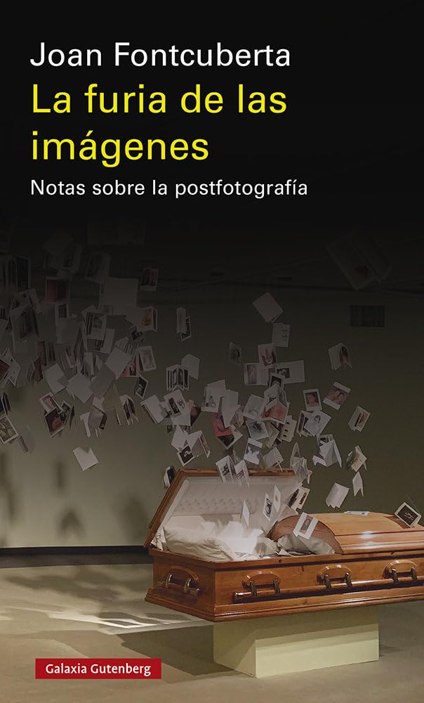 Libro: La furia de las imágenes- 2020: Notas sobre la postfotografía (Ensayo)