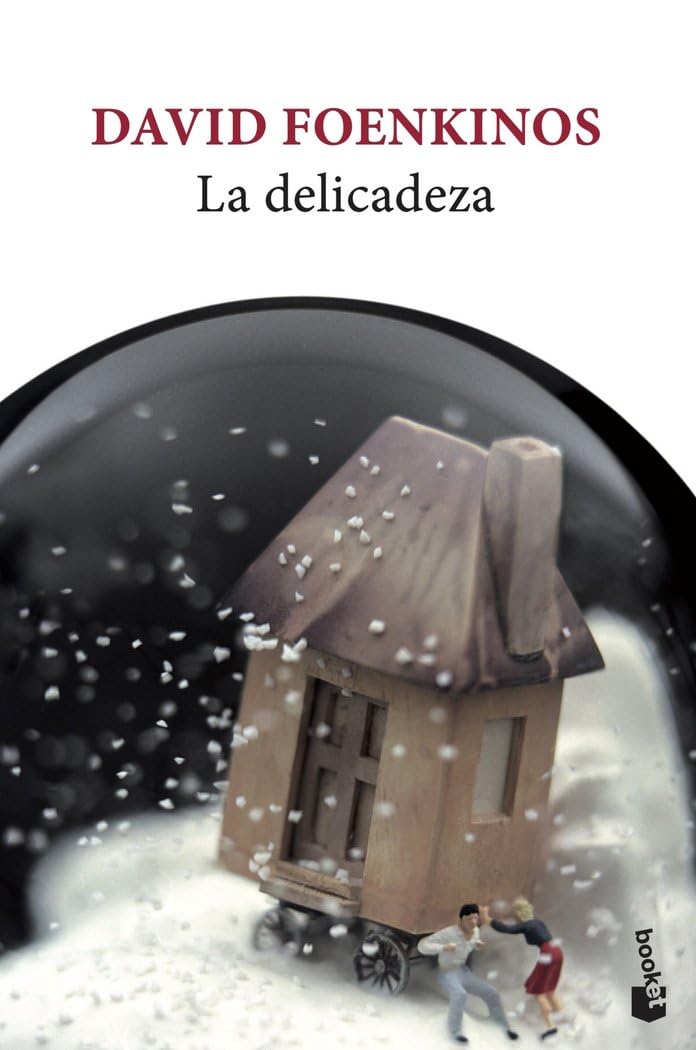 Libro: La delicadeza (Novela)