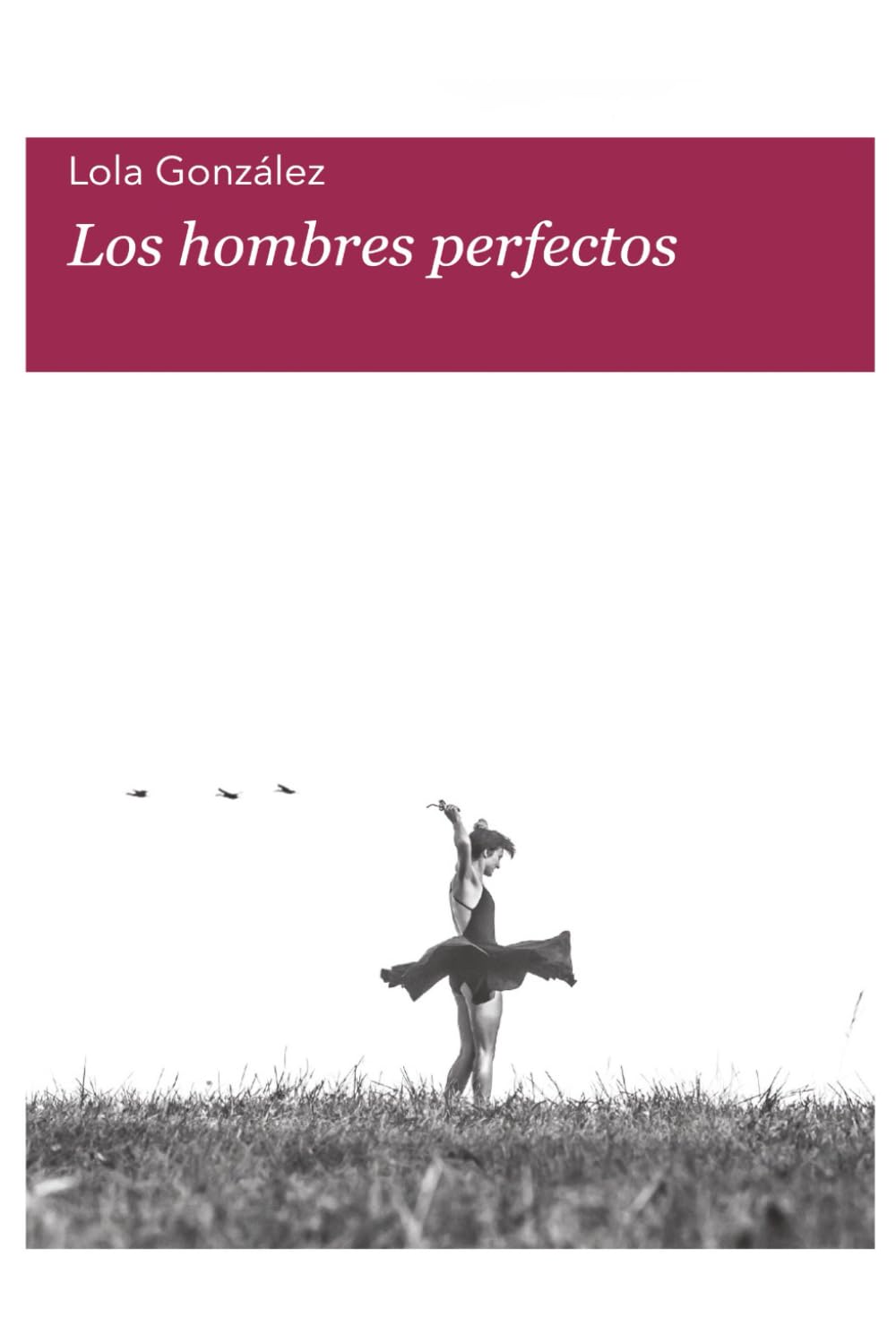 Libro: Los hombres perfectos