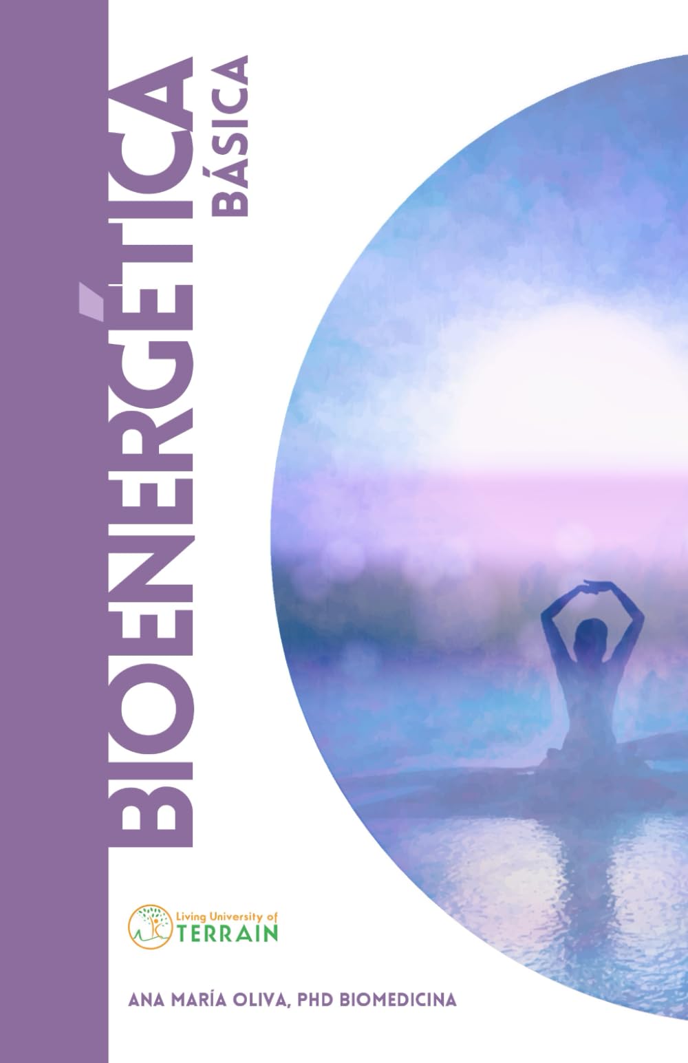 Libro: BIOENERGÉTICA BÁSICA: Una introducción a la comprensión de la salud y la vida desde una mirada energética (Los Cuadernos de la LUT) (Spanish Edition)