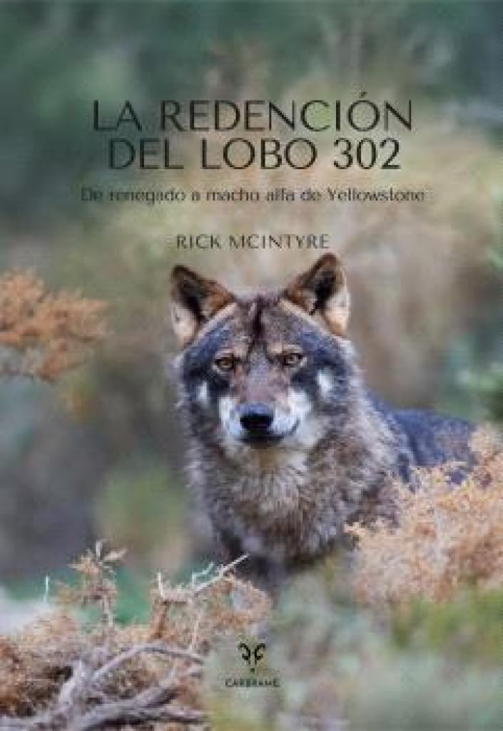 La Redención del Lobo 302: De renegado a macho alfa de Yellowstone (Colección Naturaleza Salvaje)