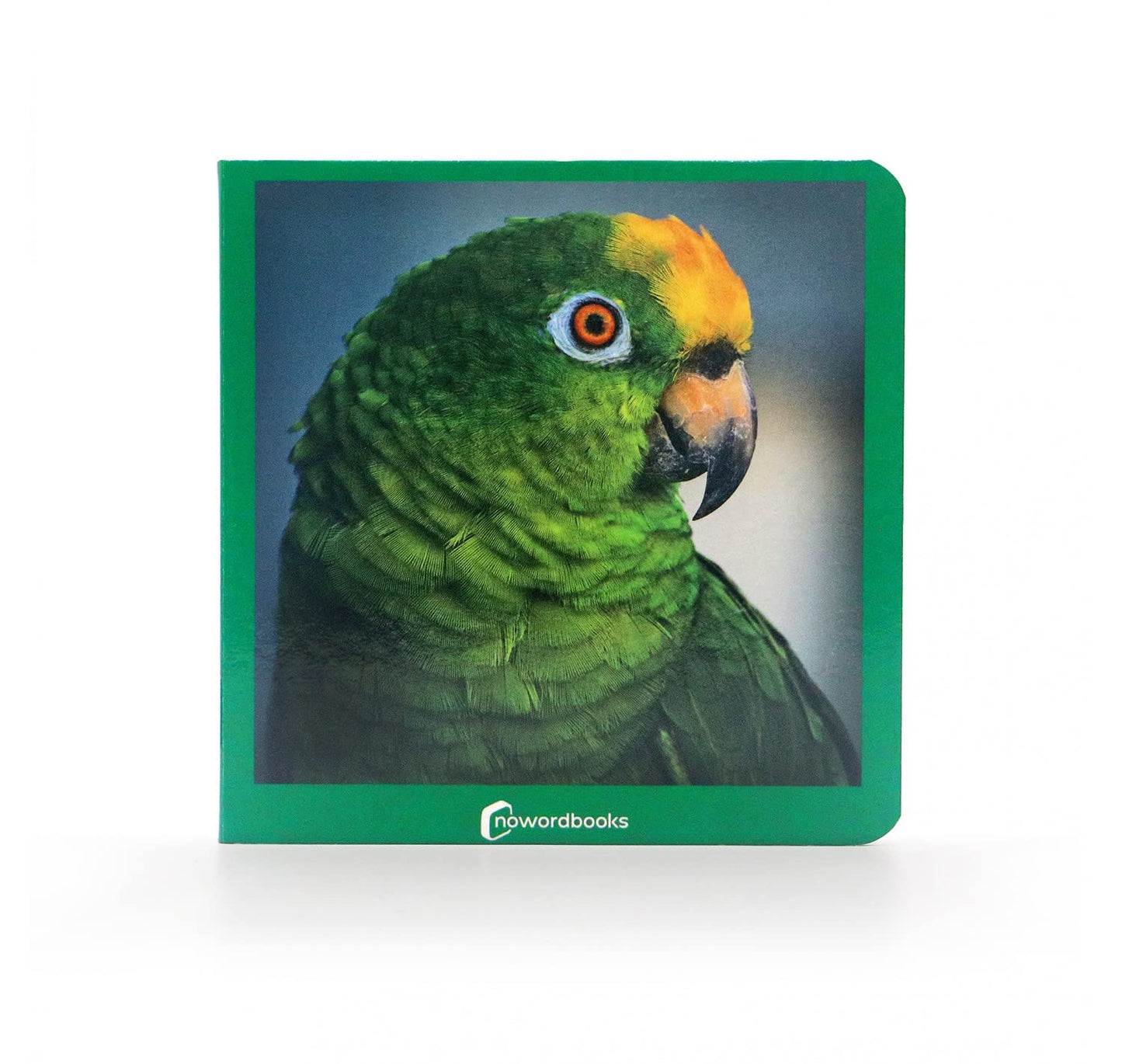 Libro: Verde carton (LIBROS DE FOTOGRAFIA)