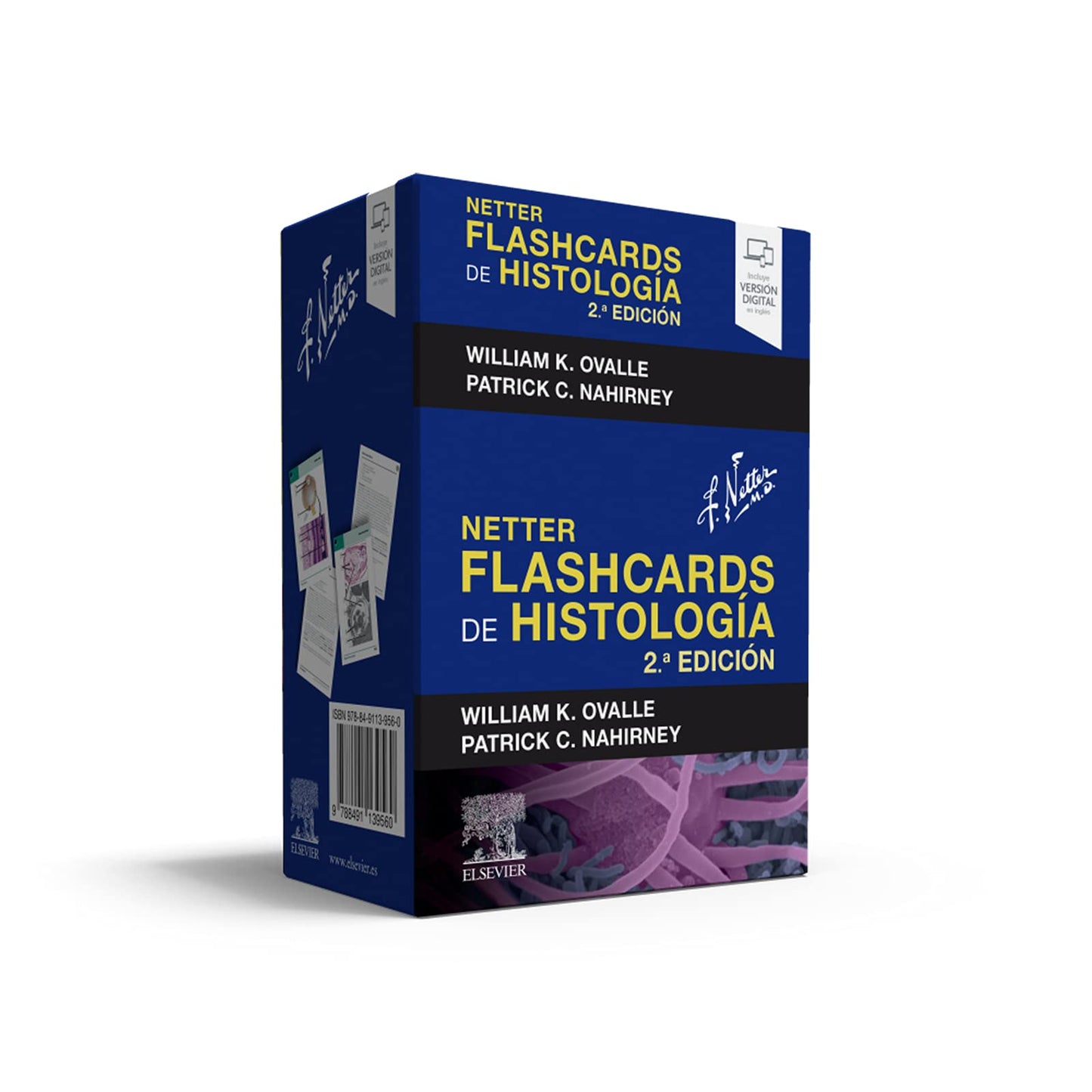 Libro: Netter. Flashcards de histología