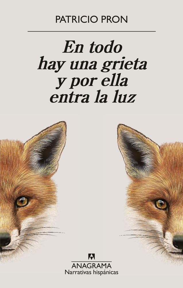 En todo hay una grieta y por ella entra la luz (Narrativas hispánicas)
