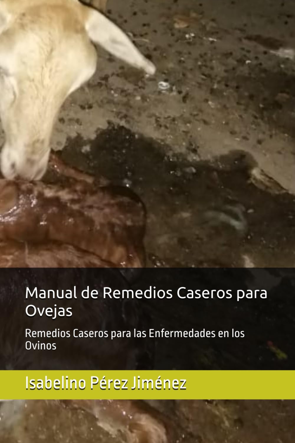 Libro: Manual de Remedios Caseros para Ovejas: Remedios Caseros para las Enfermedades en los Ovinos