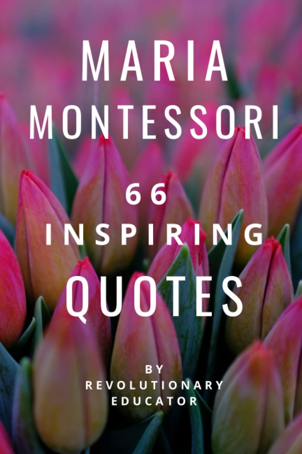 Libro: Maria Montessori: 66 Inspiring Quotes By Revolutionary Educator