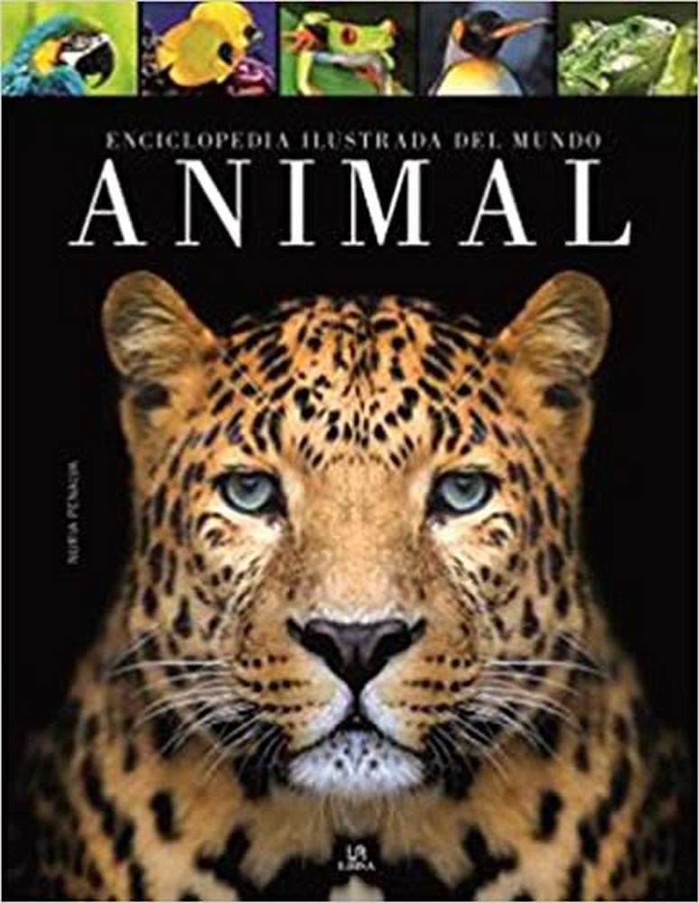 Libro: Enciclopedia Ilustrada del Mundo Animal (Spanish Edition)
