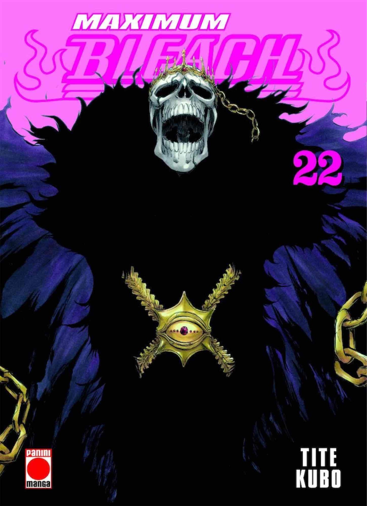 Libro: Maximum bleach n.22