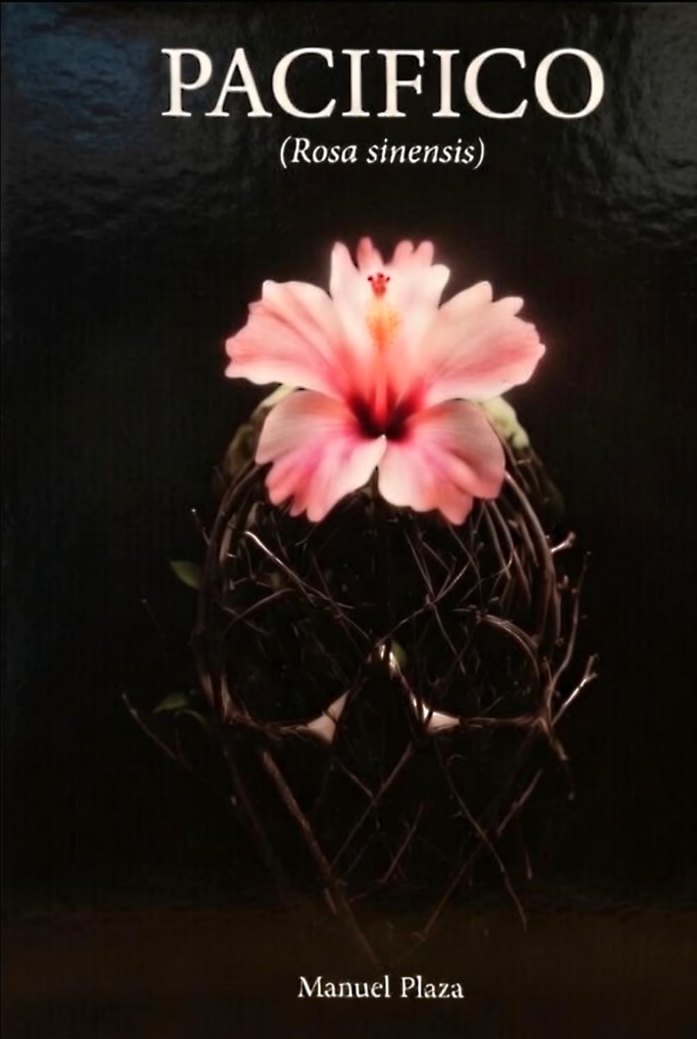 Libro: Pacífico: Rosa sinensis