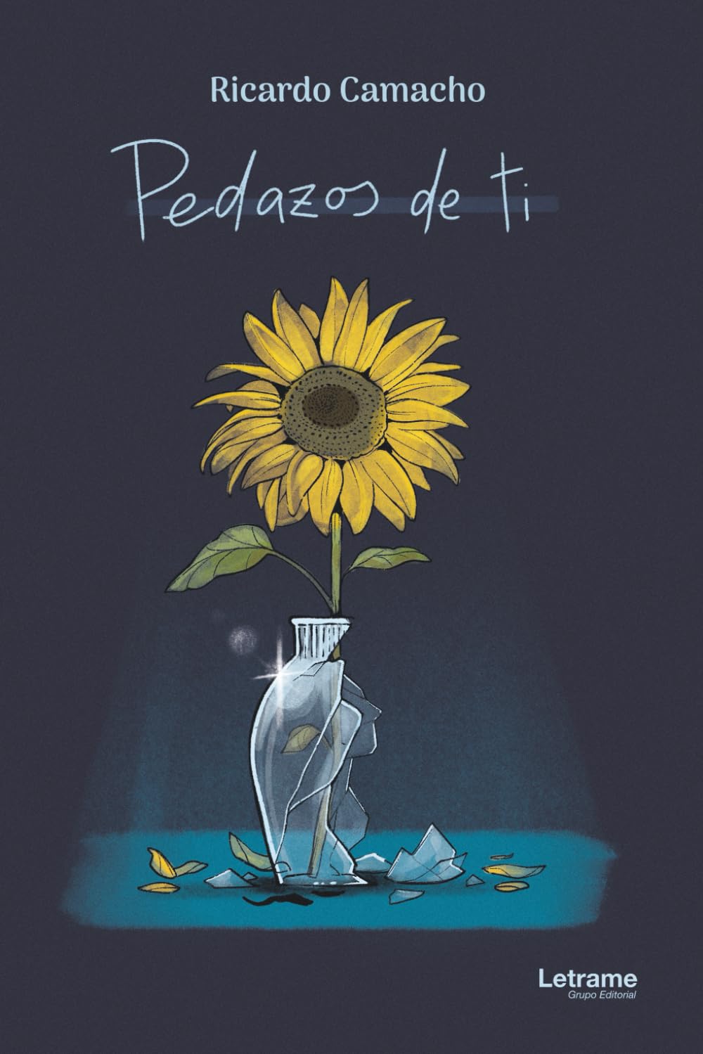 Libro: Pedazos de ti: 1 (No ficción)