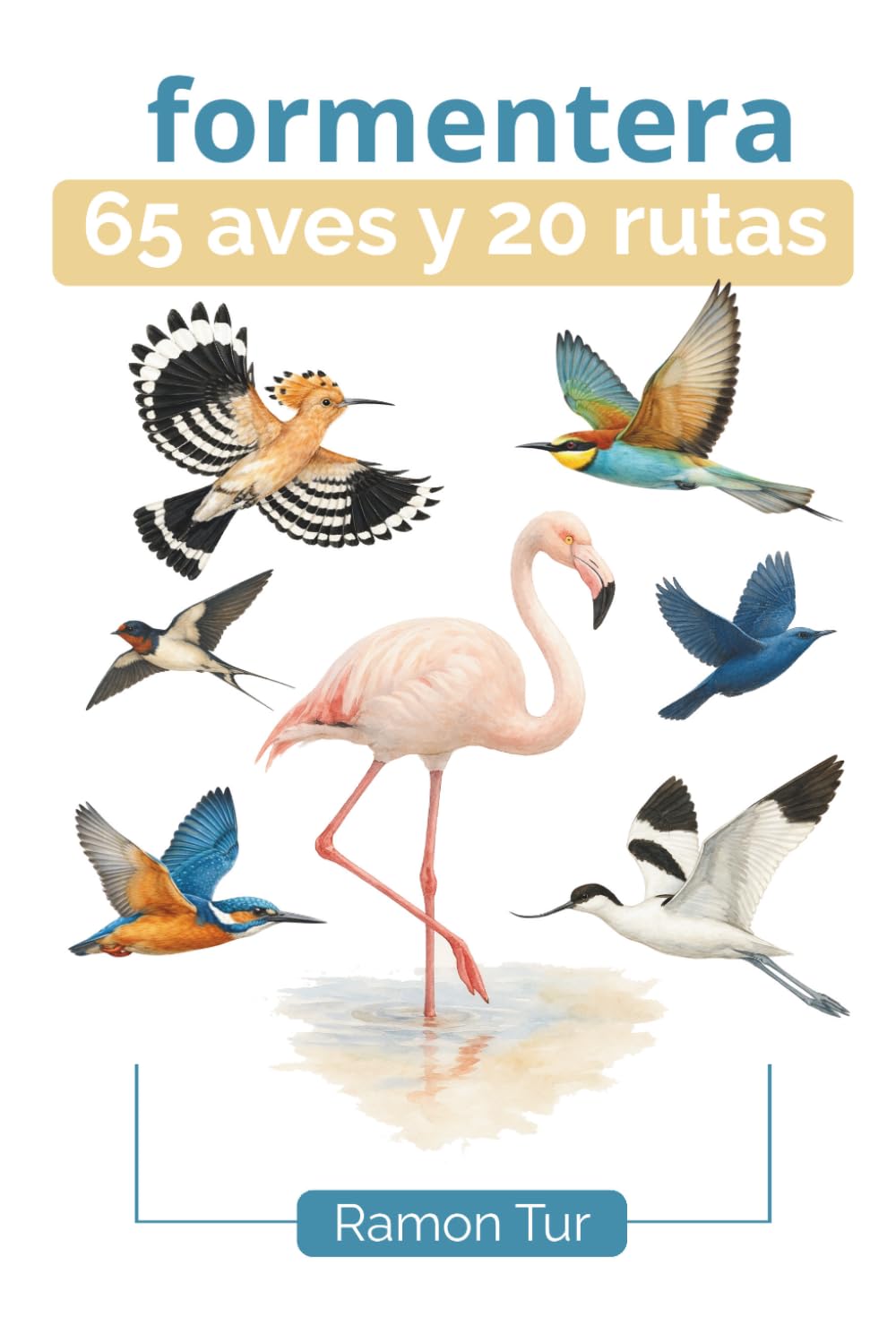 Formentera 65 Aves y 20 Rutas