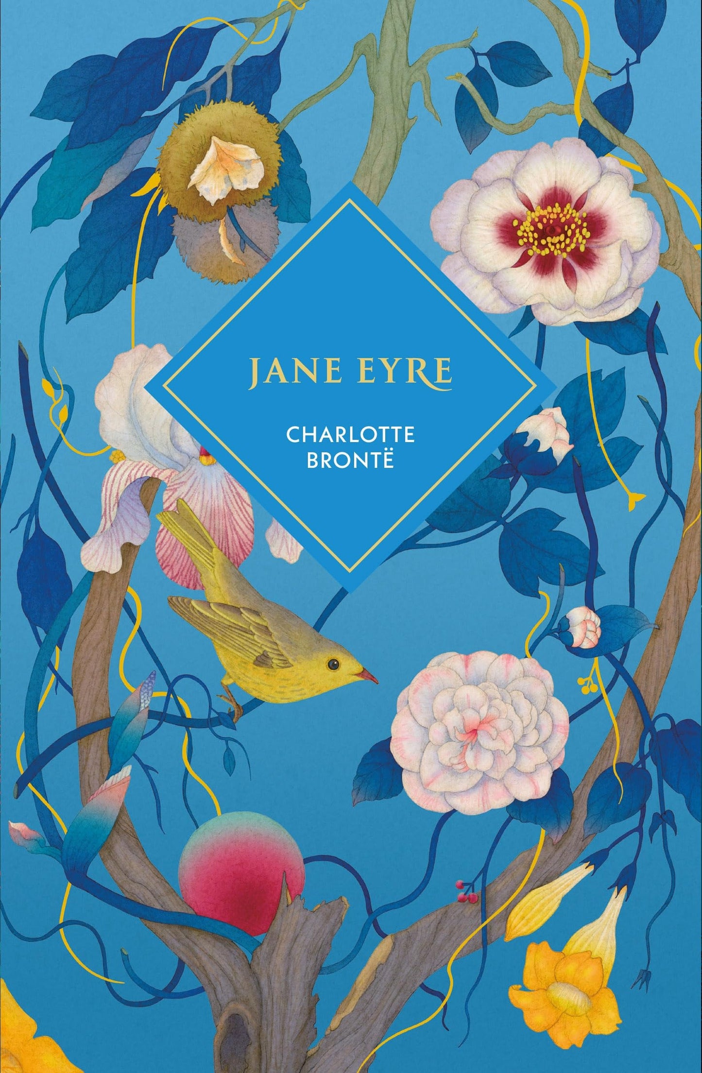 Libro: Jane Eyre: by Charlotte Brontë (Vintage Collector's Classics)