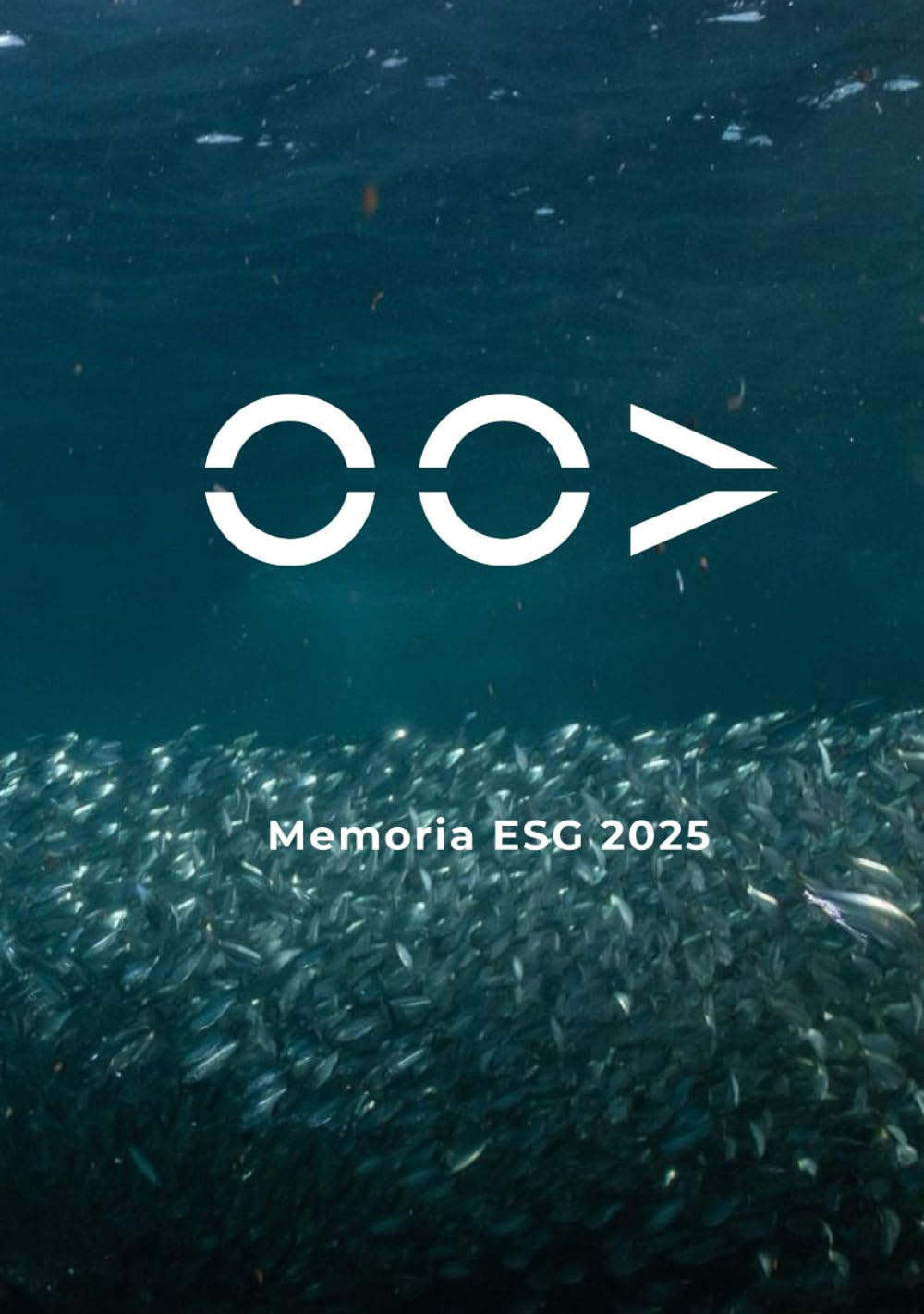 Libro: Memoria ESG Oxford Oil Additives: 2025 (Spanish Edition)