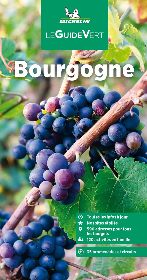 Libro: Guide Vert Bourgogne