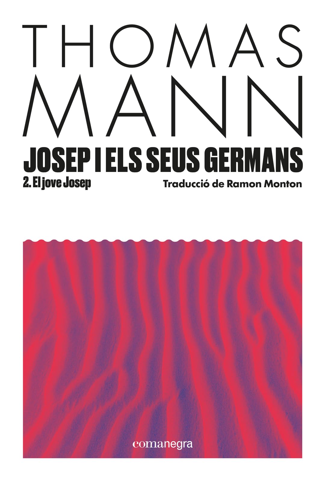 Libro: Josep i els seus germans II: El jove Josep: 32 (Narratives)