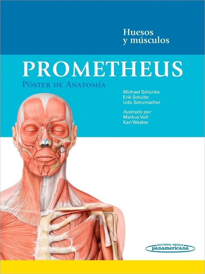 Libro: Prometheus. Poster de anatomia: Huesos y músculos