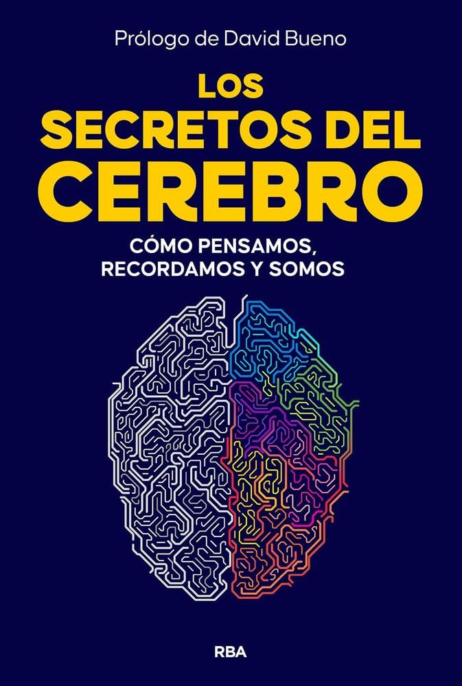 Libro: Los secretos del cerebro (Spanish Edition)