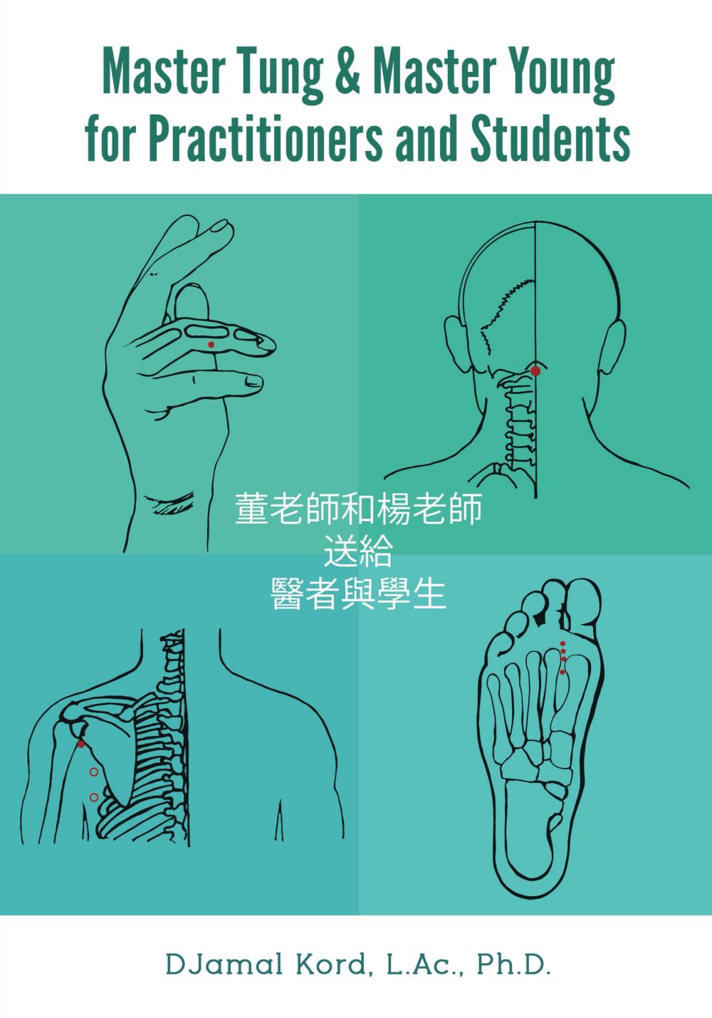 Libro: Master Tung & Master Young for Practitioners and Students: The Authoritative Quick Reference Guide to Master Tung’s Acupuncture Points