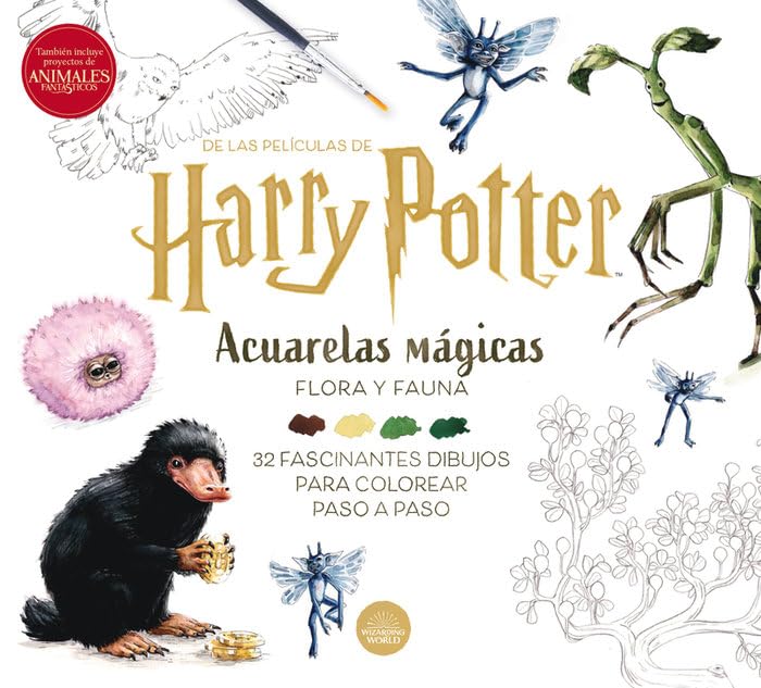 Libro: Book 9791259571939