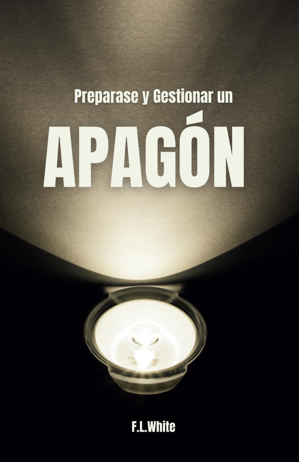 Libro: Prepararse y Gestionar un Apagón Sin luz, Sin electricidad: Estrategias y consejos para actuar ante posibles apagones. (Spanish Edition)