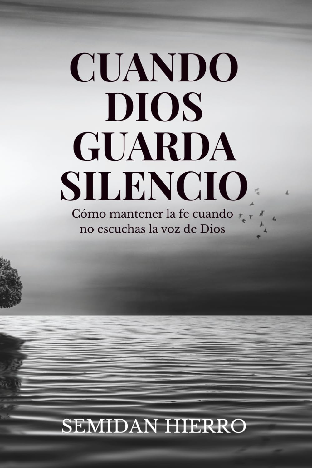 Libro: Cuando Dios guarda silencio: Cómo mantener la fe cuando no escuchas la voz de Dios