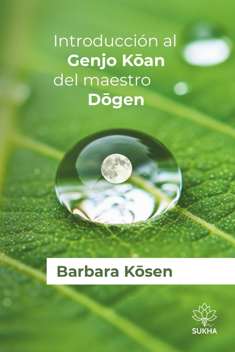 Libro: Introducción al Genjo Kōan del maestro Dōgen (Spanish Edition)