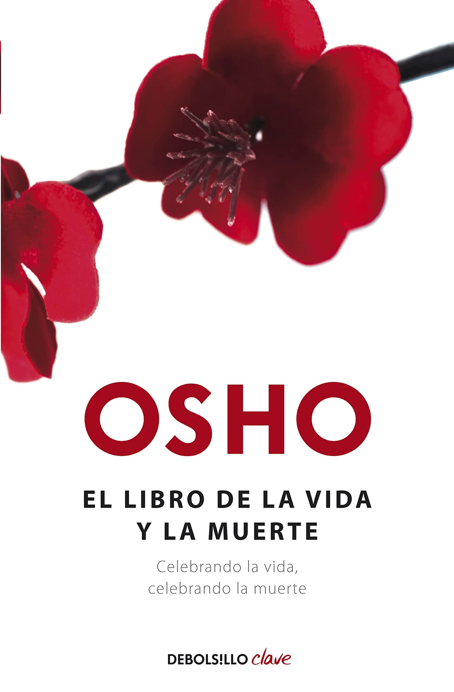 Libro: El libro de la vida y la muerte: Celebrando la vida, celebrando la muerte