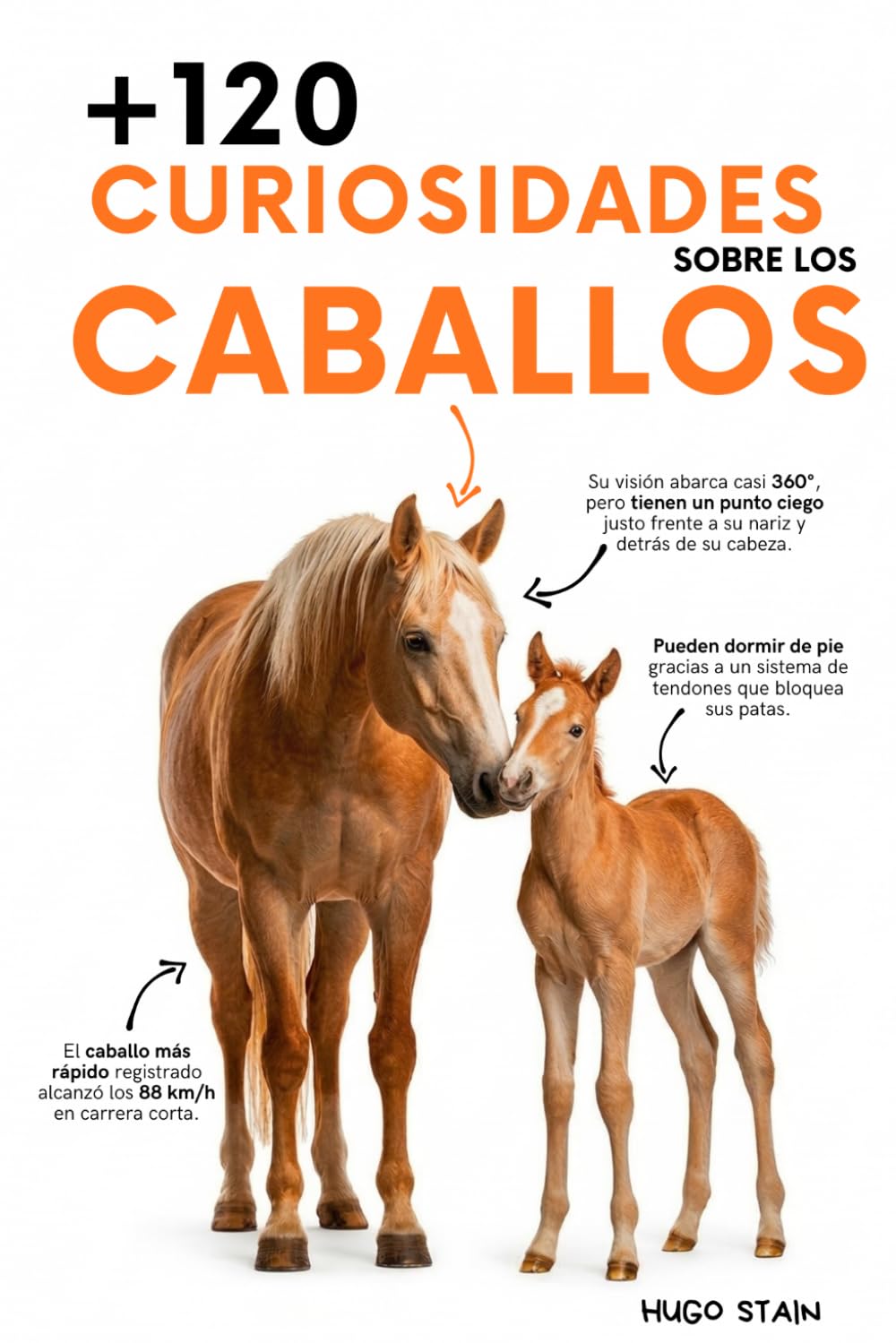 120 CURIOSIDADES sobre CABALLOS: Datos sorprendentes, secretos, historias y curiosidades increíbles sobre razas, comportamiento, historia y cuidados ... los caballos y jinetes. (Libros de Caballos)