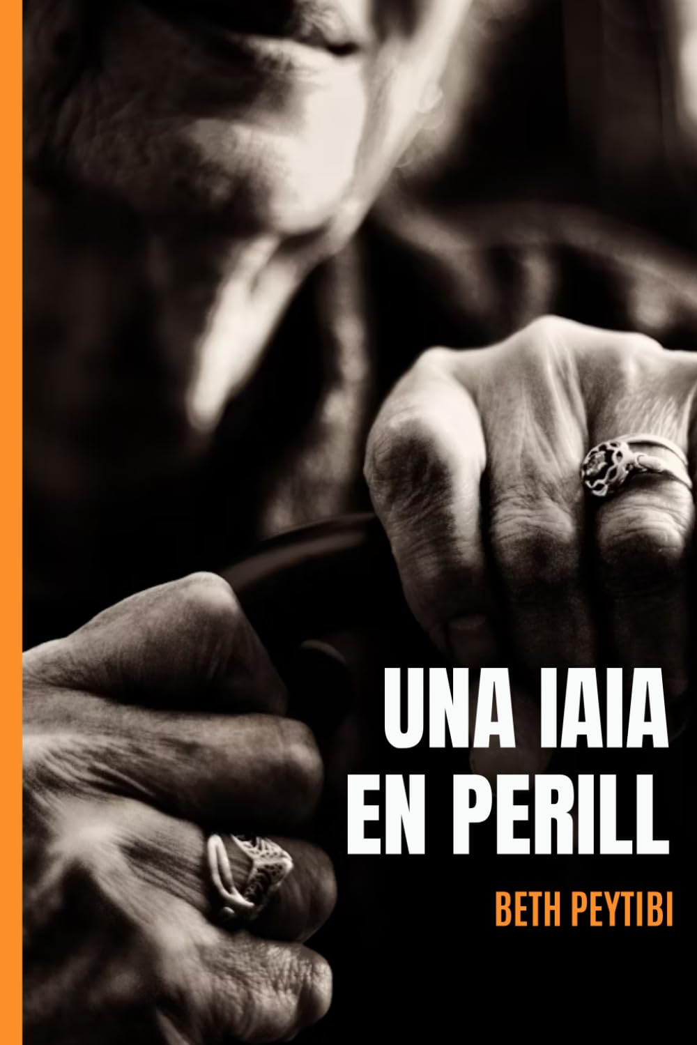 Libro: Una iaia en perill