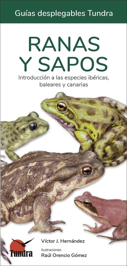 Libro: TUNDRA Frogs and Toads - Folding Guides, Book, Various, One Size, Various, One size