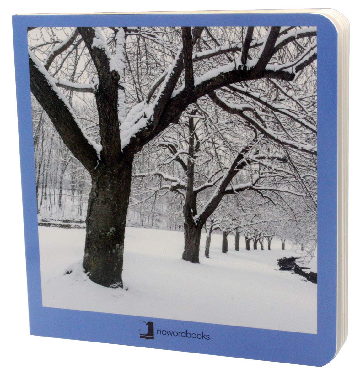 Libro: Invierno (Mis primeras Imágenes)