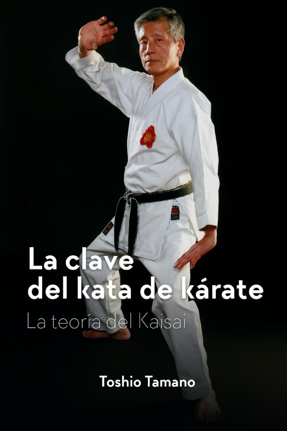 Libro: La clave del kata de kárate: La teoría del Kaisai (Spanish Edition)