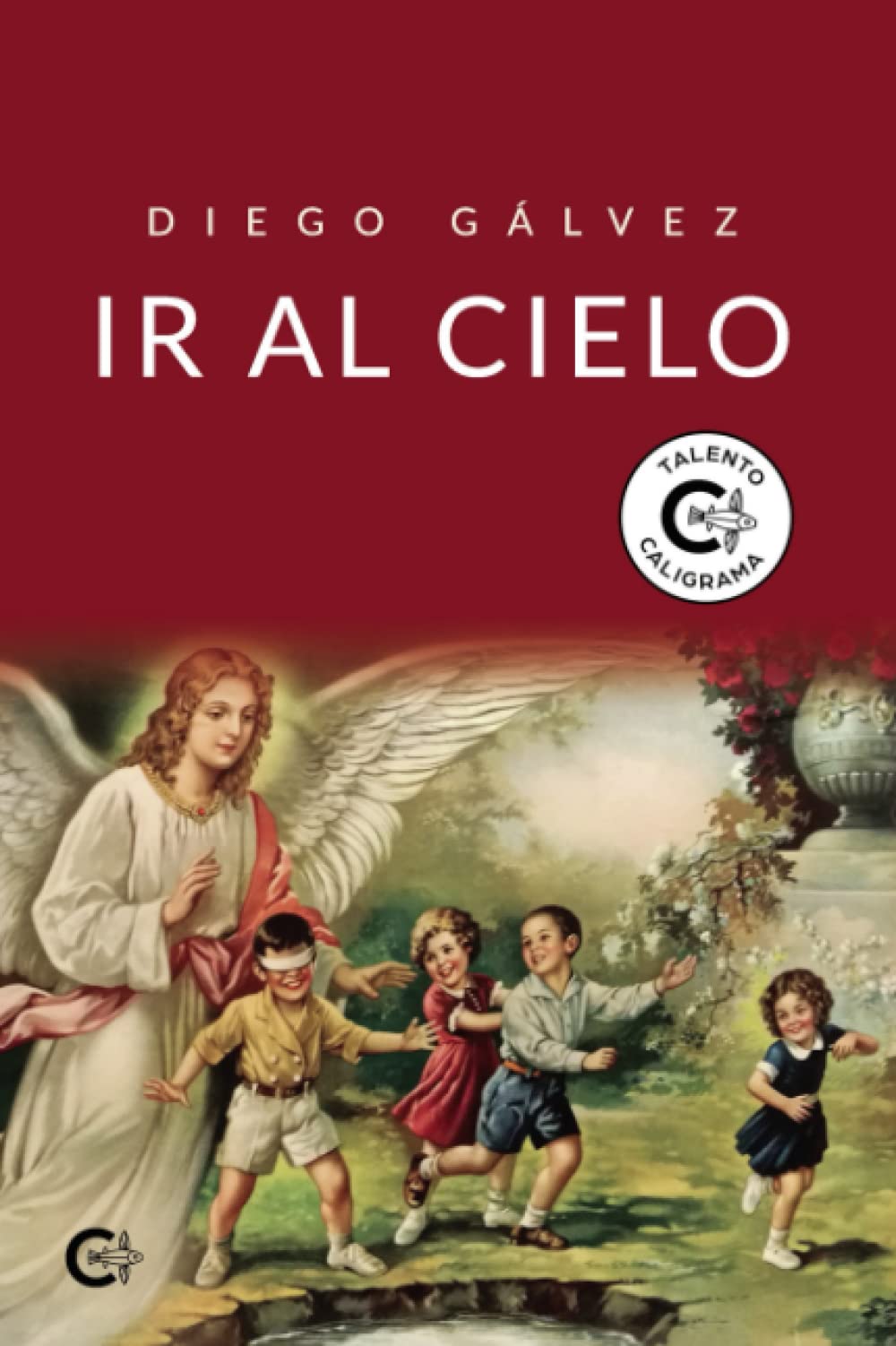 Libro: Ir al cielo