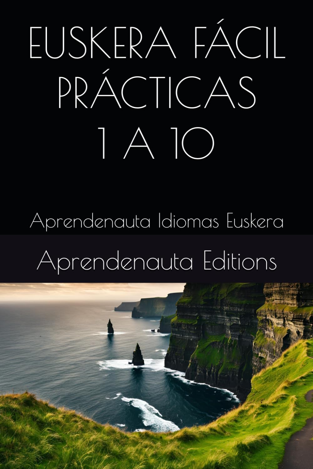 Libro: EUSKERA FÁCIL PRÁCTICAS 1 A 10: Aprendenauta Idiomas Euskera (Spanish Edition)