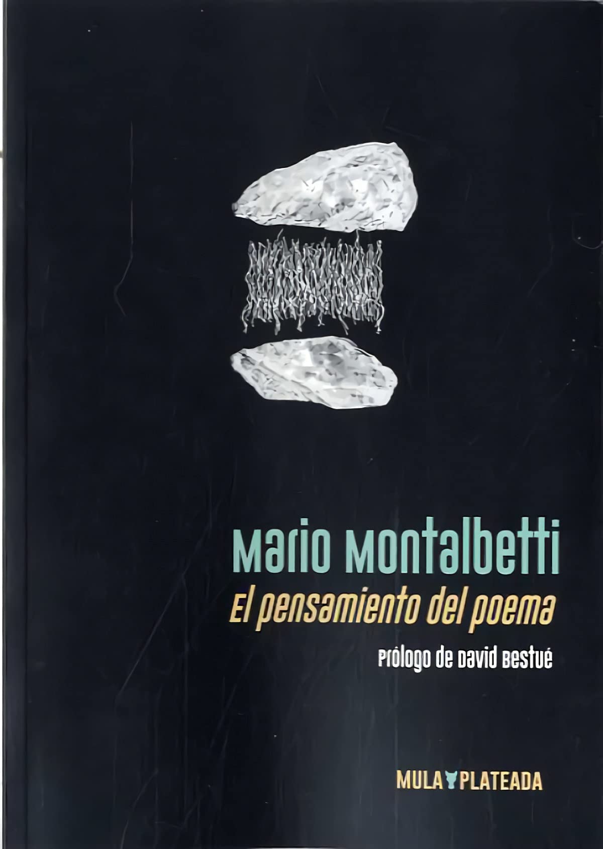 Libro: El pensamiento del poema