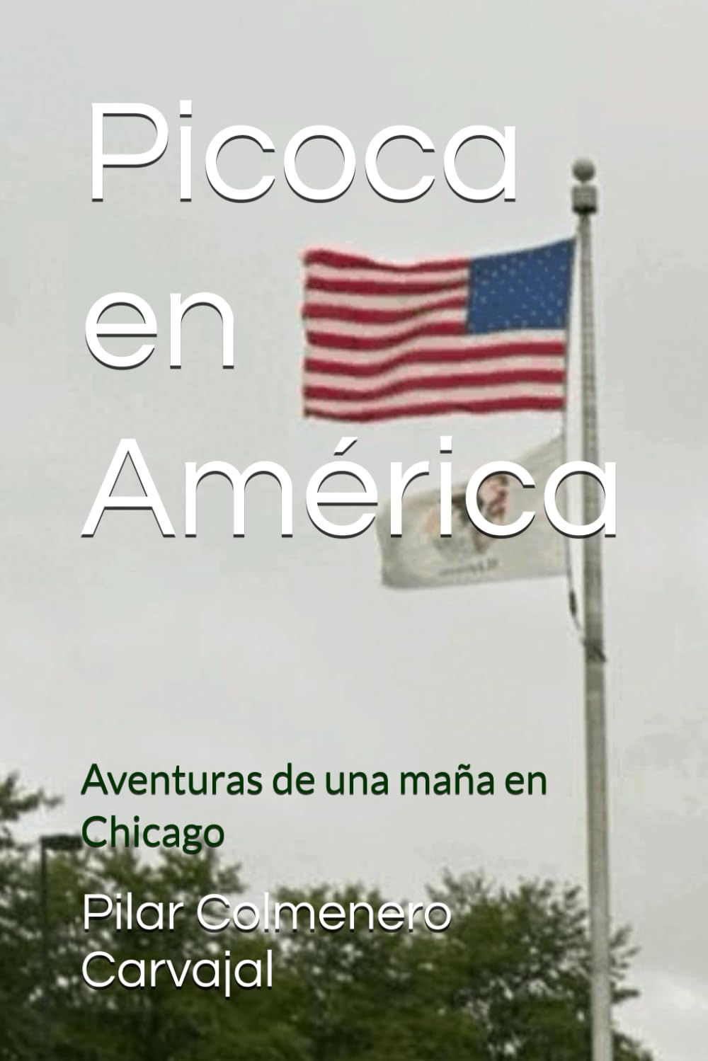 Libro: Picoca en América: Aventuras de una maña en Chicago (Spanish Edition)