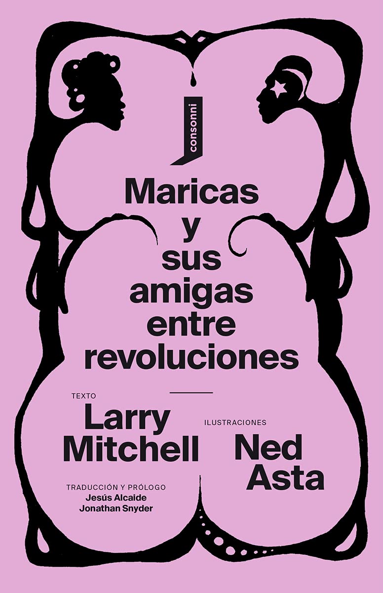 Libro: Maricas y sus amigas entre revoluciones