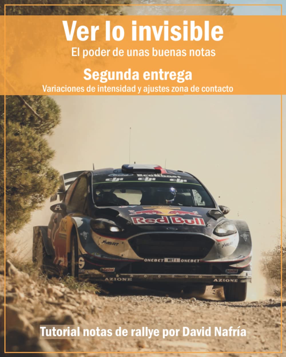 Libro: Ver lo invisible. Segunda entrega: Variaciones de intensidad y ajustes zona de contacto.: El poder de unas buenas notas. Tutorial notas de rallye por ... rallye por David Nafría.) (Spanish Edition)
