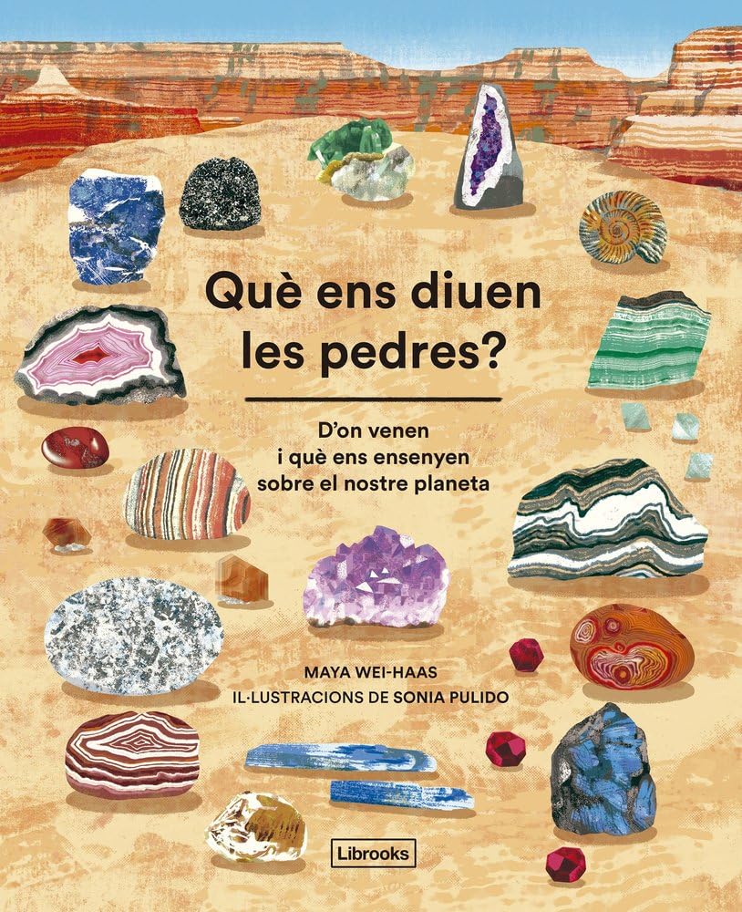 Libro: Què ens diuen les pedres?