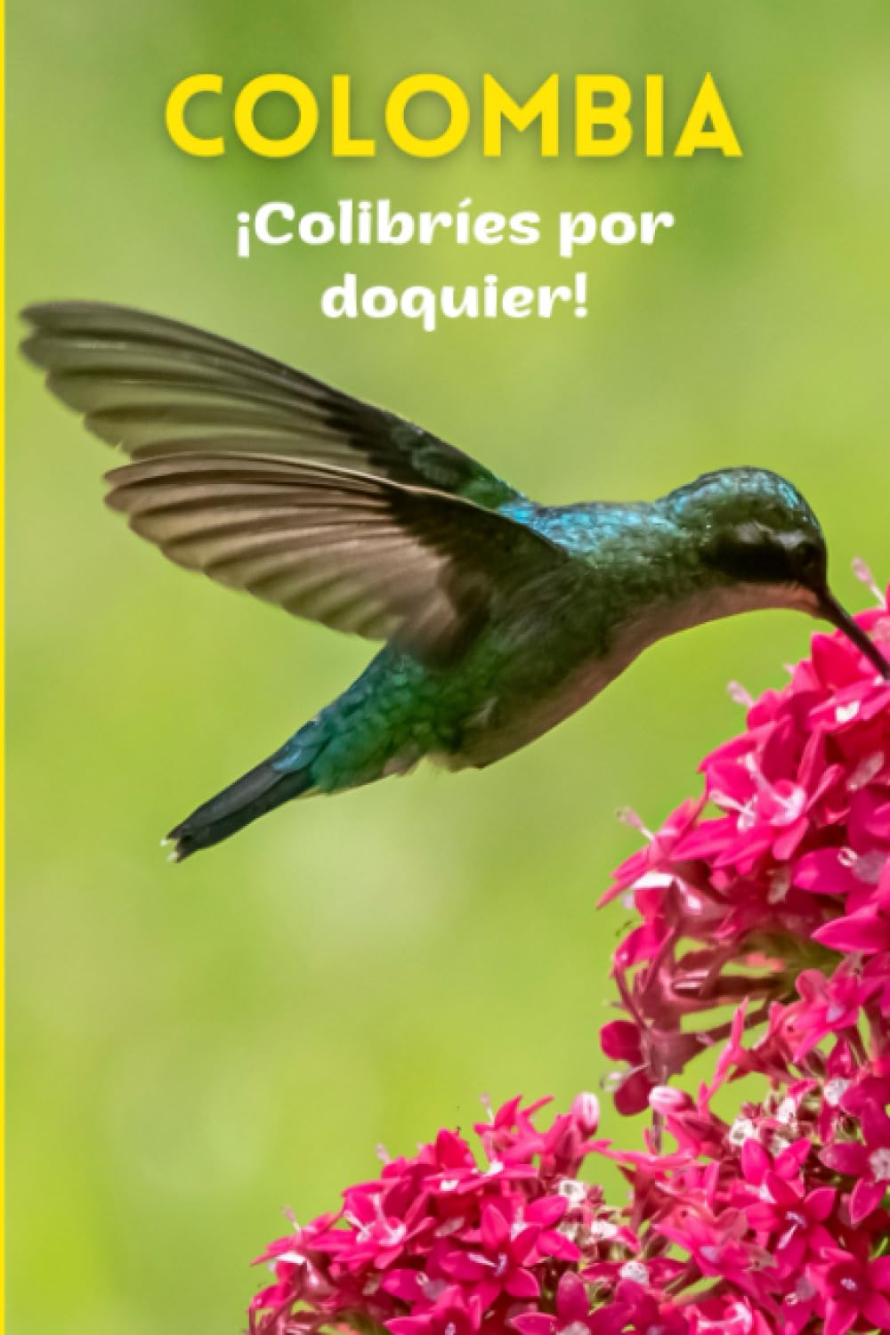 Libro: Colombia ¡Colibríes por doquier!: Un libro de fotografías con 40 colibríes fascinantes.